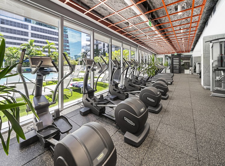 A gym with treadmills, elliptical machines, and weights.